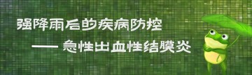 强降雨后的疾病防控——急性出血性结膜炎
