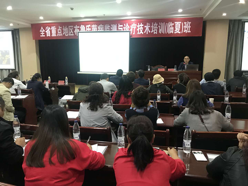 图片5.png