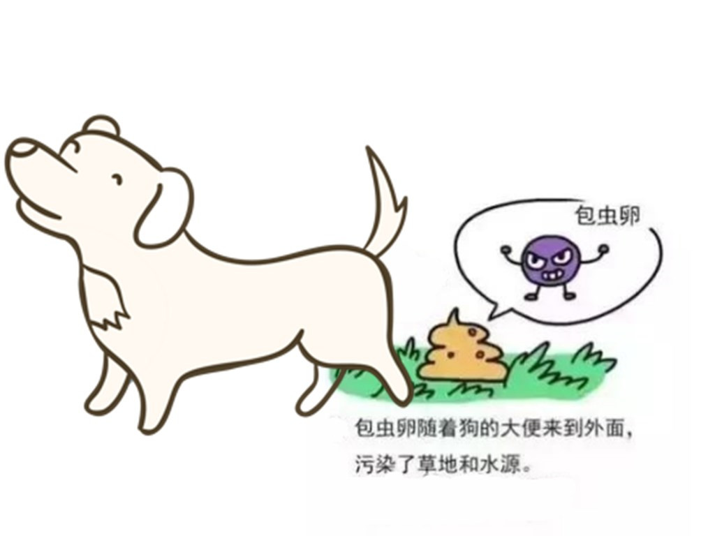 1552555151902892.png