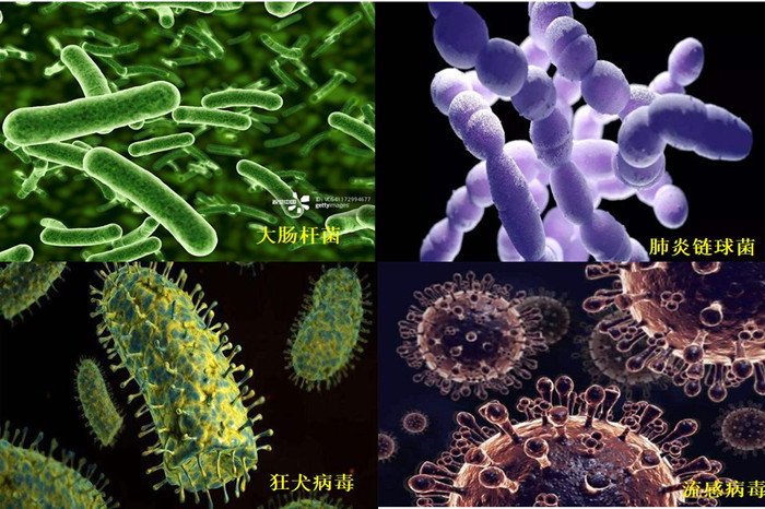 640_wx_fmt=png (1)_副本.jpg