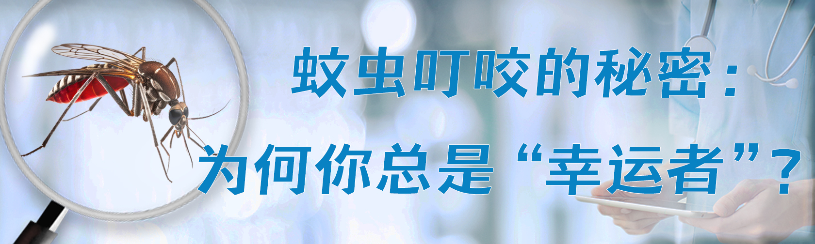 蚊虫叮咬的秘密:为何你总是“幸运者”? 蚊虫叮咬的秘密:为何你总是“幸运者”?.jpg