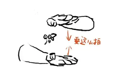 1749546088226032.png