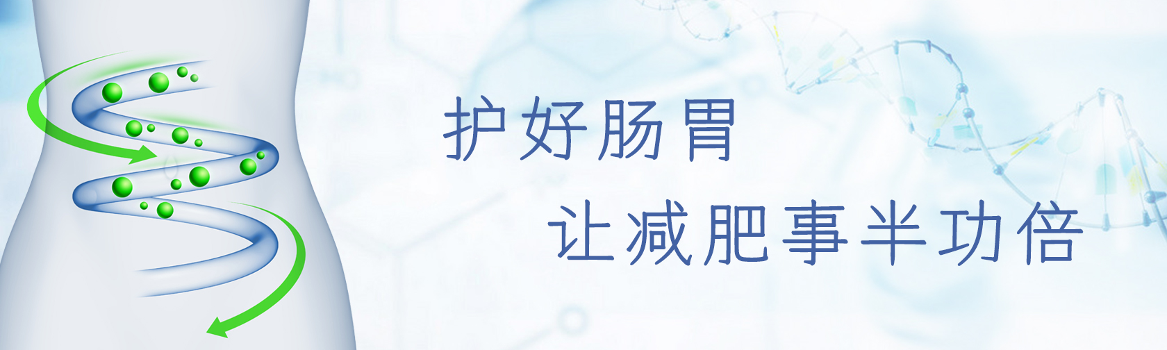 护好肠胃，让减肥事半功倍.jpg