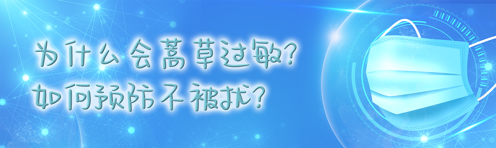 为什么会蒿草过敏？如何预防不被扰？.jpg