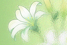 甘肃省疾控中心三月健康提示
