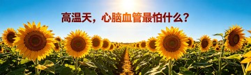 高温天，心脑血管最怕什么？