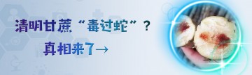 清明甘蔗“毒过蛇”？真相来了→