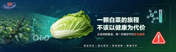 一颗白菜的旅程 不该以健康为代价