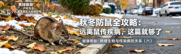 秋冬防鼠全攻略：远离鼠传疾病，这篇就够了！