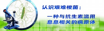 认识艰难梭菌：一种与抗生素滥用息息相关的病原体