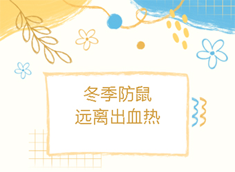 1767153502524134.jpg 444.jpg