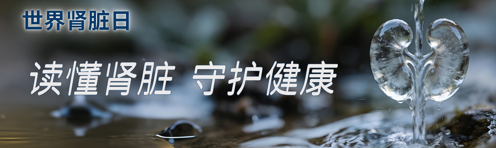 世界肾脏日 读懂肾脏，守护健康.jpg