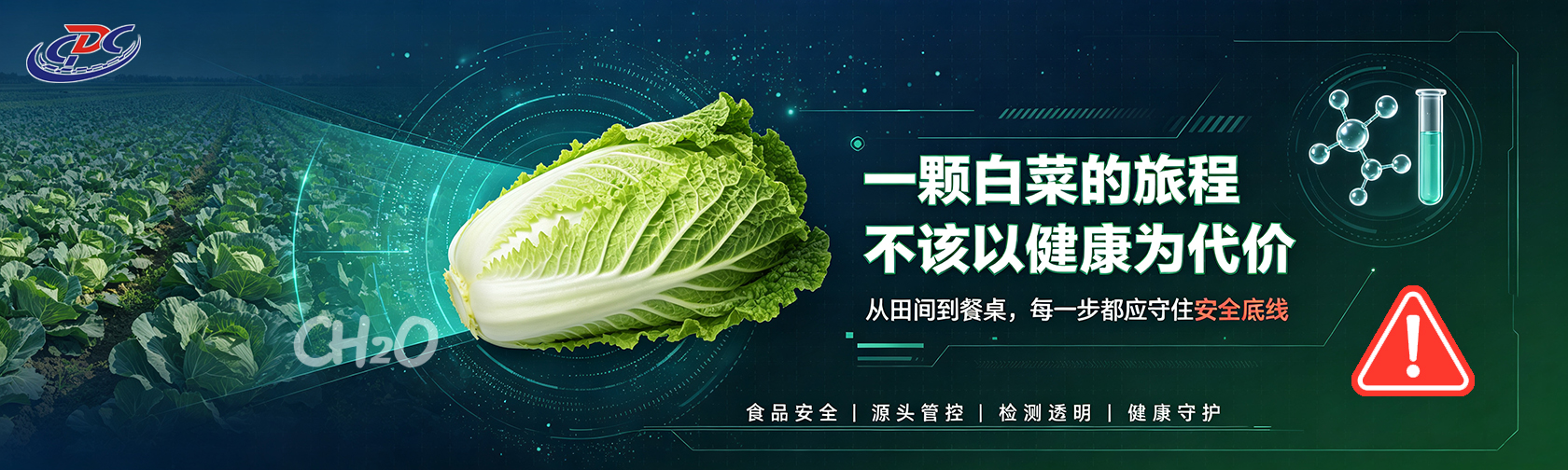 一颗白菜的旅程 不该以健康为代价.jpg