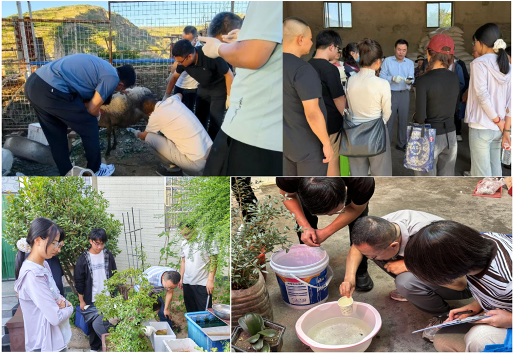 1789351736434888.png 2026.9.14.8.png