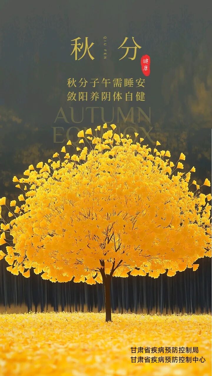1790231403960594.jpg 640.jpg